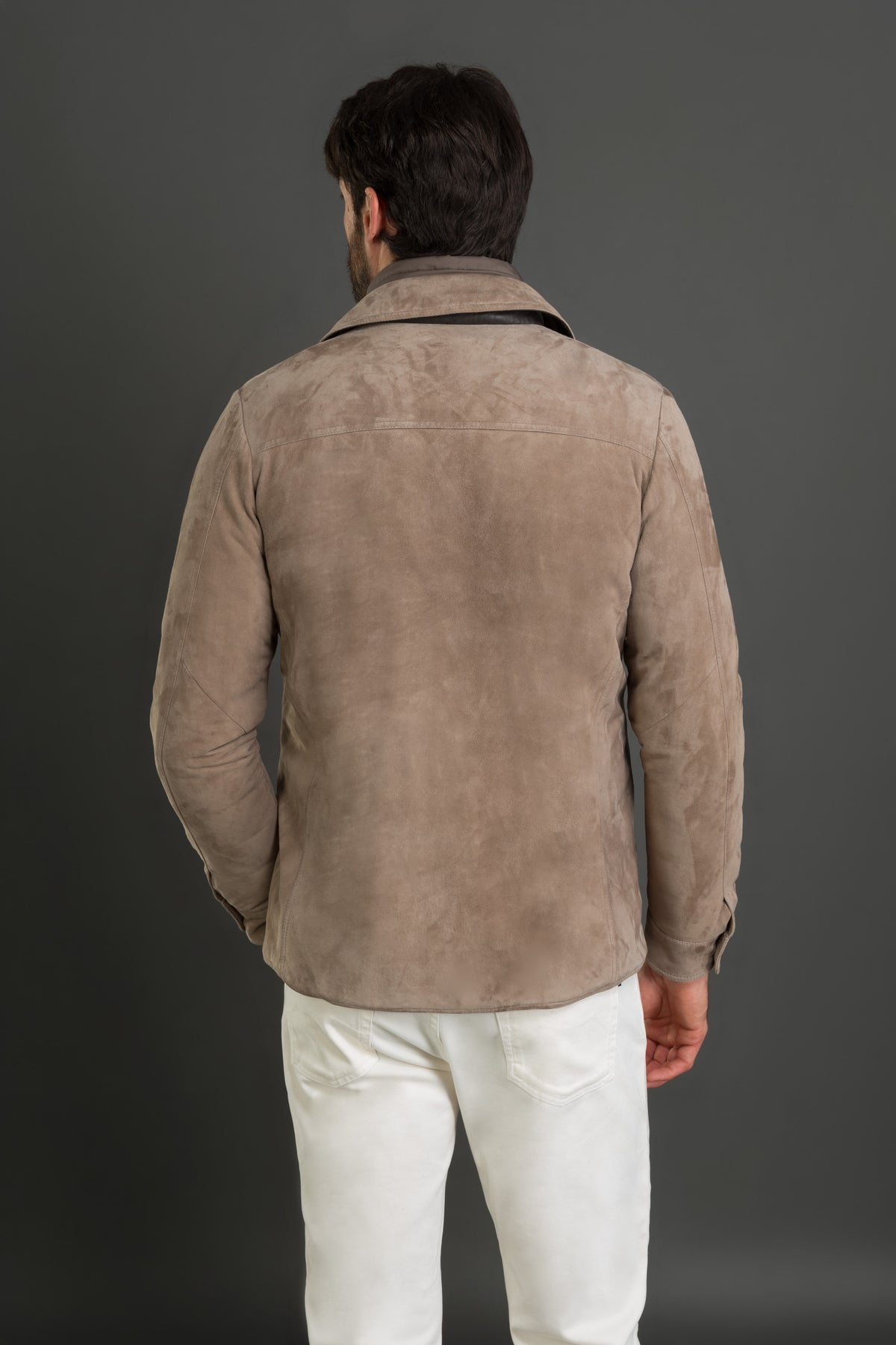 TORQUATO-UR - TORTORA - 2