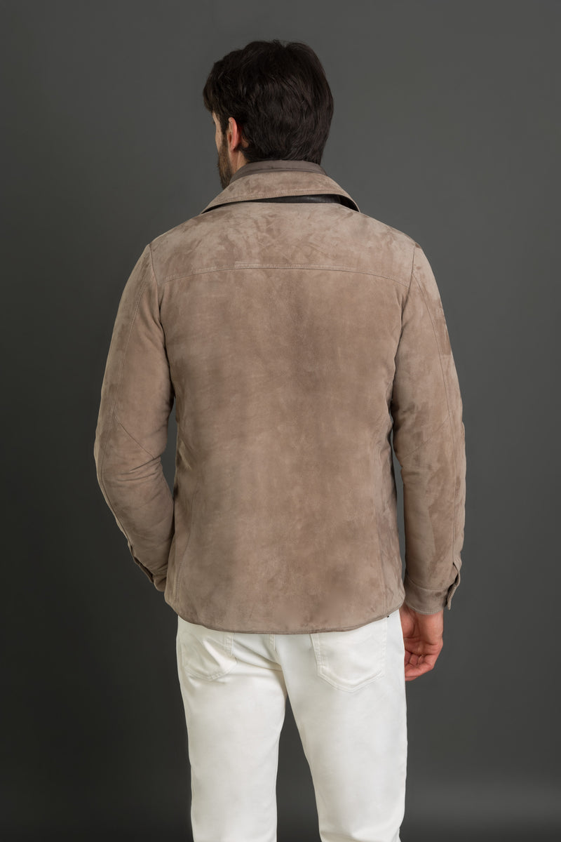 TORQUATO-UR - TORTORA - 2